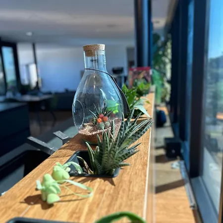 172 Qm Luxus Penthouse Stadtmitte, Sauna, Fitness